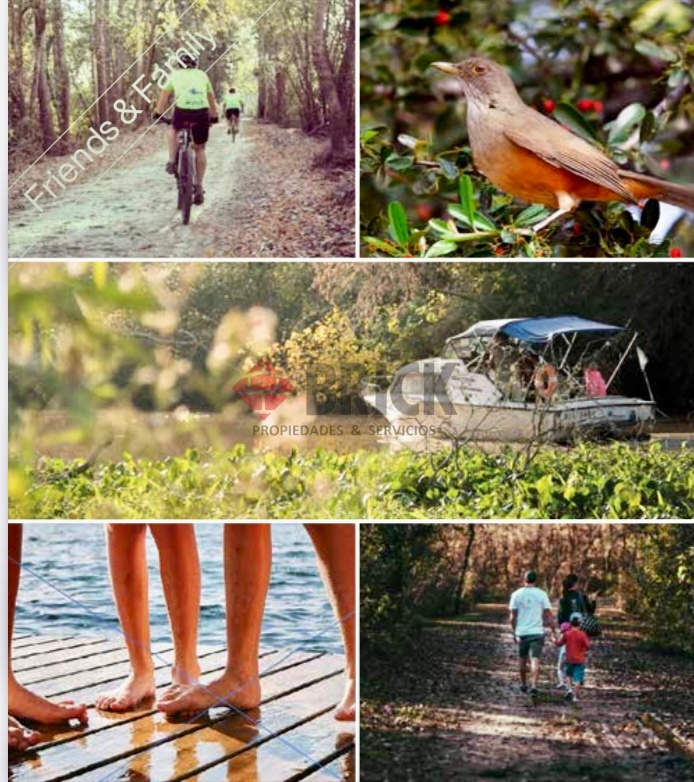 Bº PUERTOS DEL LAGO - NATIVAS 5